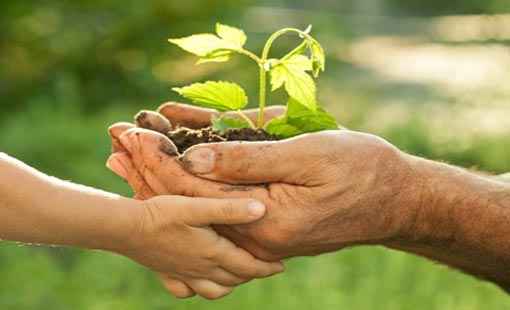 بر الوالدين بين خط الطاعة وخط الإحسان/ ج1